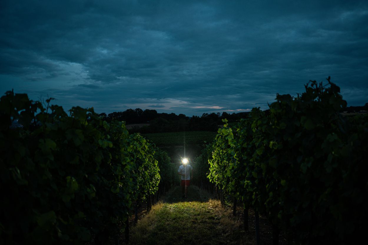 Ledlenser LED Stirnlampe H7R Signature Produktbild Ledlenser LED Stirnlampe H7R Signature bild 10