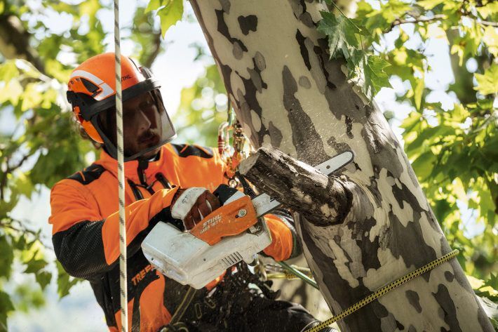 Stihl Helmset Forstschutz Advance X-Climb Beispiel Produktbild Stihl Helmset Forstschutz Advance X-Climb Beispiel bild 3