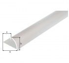 Alberts Abschlussprofil, Alu gold elox., LxBxHxlichte H 1000x24,5x13,5x9mm