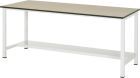 RAU Werktisch Serie 900 Arbeitstisch Breite 2000 mm