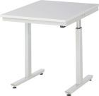 RAU Werktisch Serie adlatus 300 Breite 750 mm x Tiefe 1000 mm