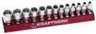 KRAFTWERK COMBI Stecknusssatz MAGALU 1/4" 13 Teile
