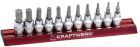KRAFTWERK Torx Bit Stecknusssatz MAGALU 3/8" 11 Teile