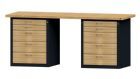 Anke Kombiwerkbank Serie VH 2000 Modell 850 VH RAL 7016 / Buche