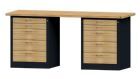 Anke Kombiwerkbank Serie VH 2000 Modell 850 VH 2000 x 700 x 890 mm