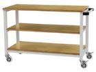 Bedrunka+Hirth Fahrbarer Arbeitstisch R 18-16 Maße 1200 x 540 x 880 mm Multiplex