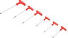 BGS Diy Schraubendreher Satz mit Bohrung T10 - T40 6 teilig mit T-Griff
