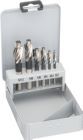Fortis Flachsenker Satz F M3 bis M12 HSS