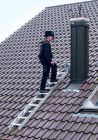 Günzburger Dachleiter mit 7 Sprossen Rot