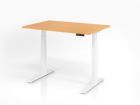 Hammerbacher Sitz-Steh-Schreibtisch XDKB12 120 x 80 cm Buche / Weiß höhenverstellbar