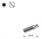 KRAFTWERK 5/16" TX-Schlagbit T40