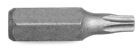 Kraftwerk Torx Bit T60 5/16 Zoll
