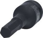 KS Tools 1/2 Zoll Kraft-Bit-Stecknuss Innensechskant 10 mm