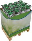 Floraworld Drucksprühgerät mit 5 Liter FW Display