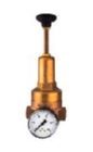 Riegler Druckregler DRV 225 Hochdruckausführung G1.1/4 1,5 bis 20 bar