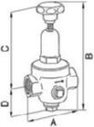 RIEGLER Druckregler DRV 250 Niederdruckausführung G1/2 0,2 bis 2 bar