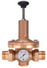 Riegler Druckregler für Wasser inklusive Manometer R1.1/2 0,2 bis 2 bar