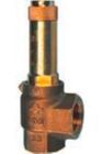 RIEGLER Ecksicherheitsventil Sattdampf G1.1/2 Ansprechdruck 5 bar