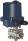 Riegler Edelstahlkugelhahn 2 Wege mit elektrischem Stellantrieb 230V AC 50Hz Rp1.1/2