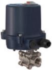 Riegler Edelstahlkugelhahn 2 Wege mit elektrischem Stellantrieb 24V DC Rp3/4