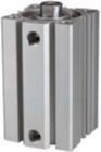 RIEGLER Kurzhubzylinder ACQ doppeltwirkend Kolben 100mm Hub 30 G3/8