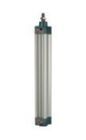 Riegler Normzylinder Magnet doppeltwirkend Kolben 125 mm Hub 600 G1/2