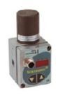 Riegler Proportional Regelventil sentronic D 24V DC G1/8 DN4