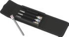 Wera Schraubendrehereinsatz Satz mit Haltefunktion 1/4 Z T25-T40x100mm 4 Teile