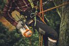 STIHL Akku Kettensäge MSA 220 T 3/8 Zoll PS3 Pro Schienenlänge 35 cm