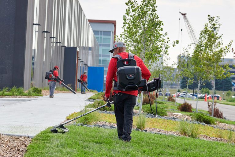 Toro Akku Freischneider Max Revolution Beispiel Produktbild Toro Akku Freischneider Max Revolution Beispiel bild 4