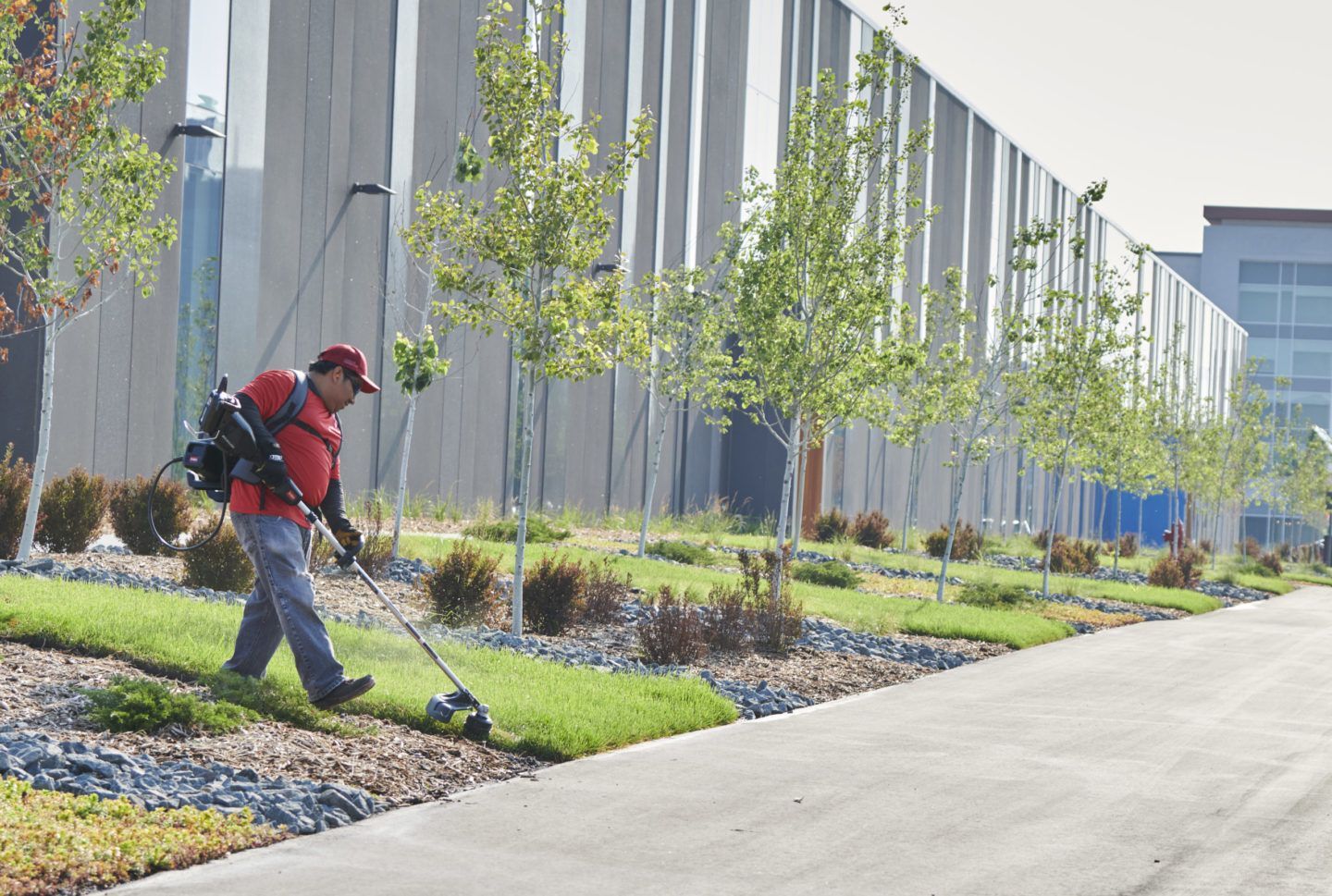 Toro Akku Freischneider Max Revolution Beispiel Produktbild Toro Akku Freischneider Max Revolution Beispiel bild 3