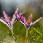 Pflegehinweise im Frühjahr