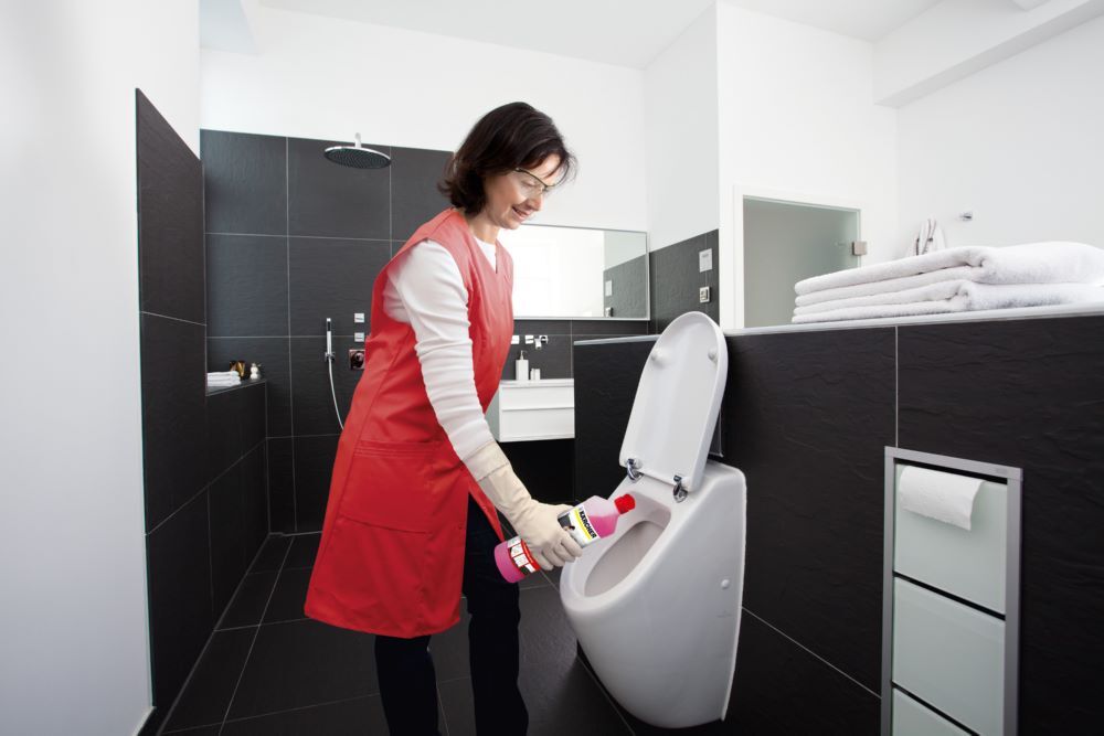 Produktbild SanitPro WC-Reiniger Tolisan 750 ml bild 2
