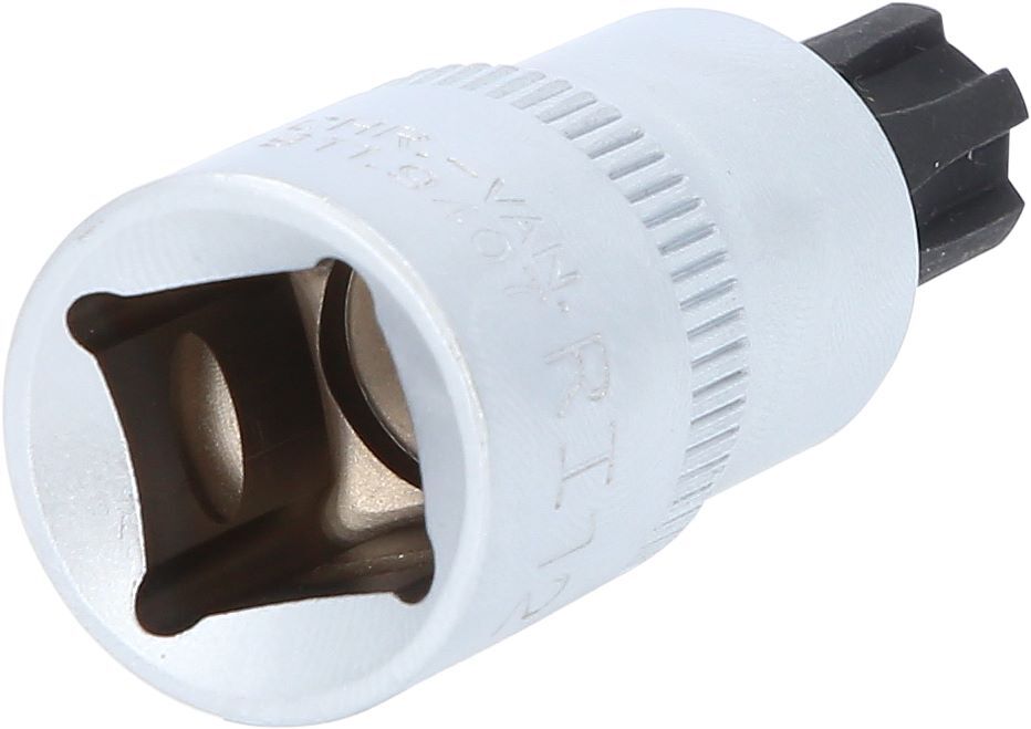 Produktbild 1/2" Bit-Stecknuss für RIBE®-Schrauben, kurz, M12 bild 2