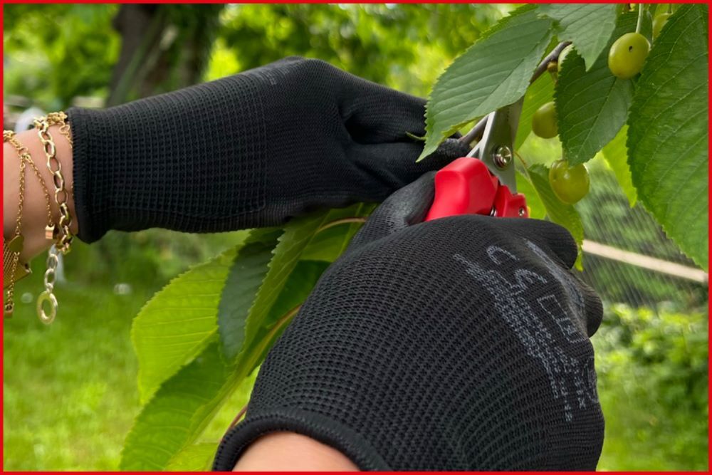 Produktbild Mikro-Feinstrickhandschuhe-schwarz, 7, 12 Paar bild 7