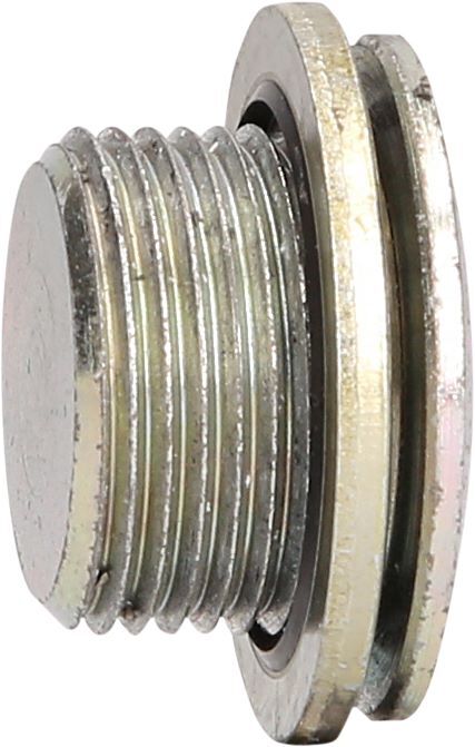 Produktbild Ölablassschraube M22 x 1,5 x 17 mm für DAF bild 2