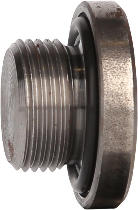 Produktbild Ölablassschraube M22 x 1,5 x 18 mm für DAF bild 2