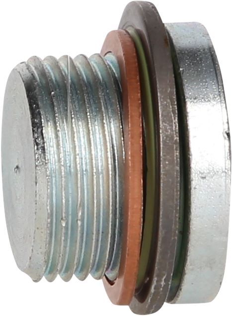 Produktbild Ölablassschraube M22 x 1,5 x 18 mm für MAN bild 2