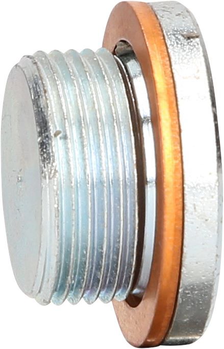 Produktbild Ölablassschraube M24 x 1,5 x 16 mm für Renault bild 2