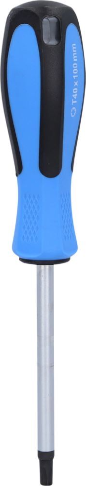 Brilliant Tools Schraubendreher Torx T40 x 100 mm Produktbild Brilliant Tools Schraubendreher Torx T40 x 100 mm bild 2