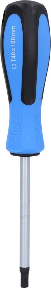 Brilliant Tools Schraubendreher Torx T40 x 100 mm Produktbild Brilliant Tools Schraubendreher Torx T40 x 100 mm bild 3