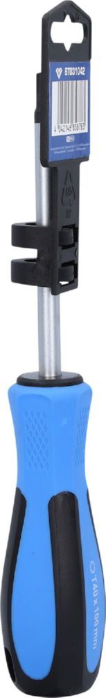 Brilliant Tools Schraubendreher Torx T40 x 100 mm Produktbild Brilliant Tools Schraubendreher Torx T40 x 100 mm bild 6