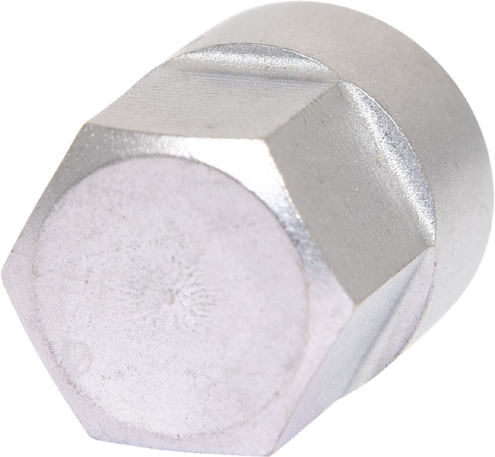 Produktbild Spezialeinsatz 4-kant mit Magnet, 8,0 mm, für SAF und Knorr Sättel bild 3