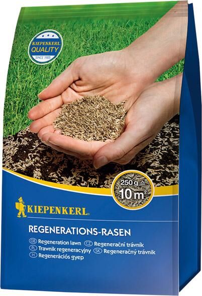 Kiepenkerl Regenerations-Rasen 250 Produktbild Kiepenkerl Regenerations-Rasen 250