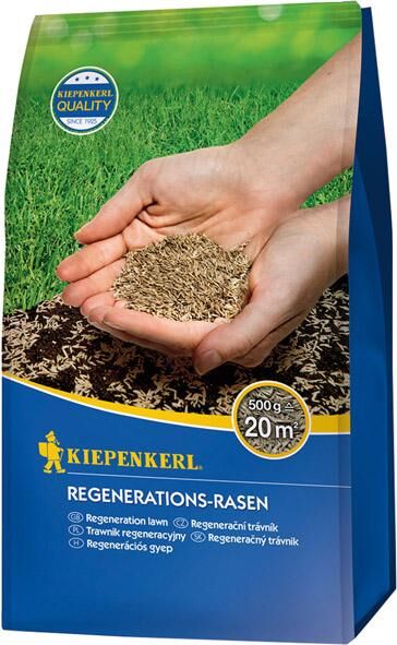 Kiepenkerl Regenerations-Rasen 500 Produktbild Kiepenkerl Regenerations-Rasen 500
