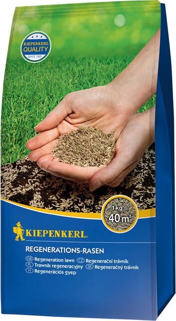 Kiepenkerl Regenerations-Rasen 1 kg Produktbild Kiepenkerl Regenerations-Rasen 1 kg