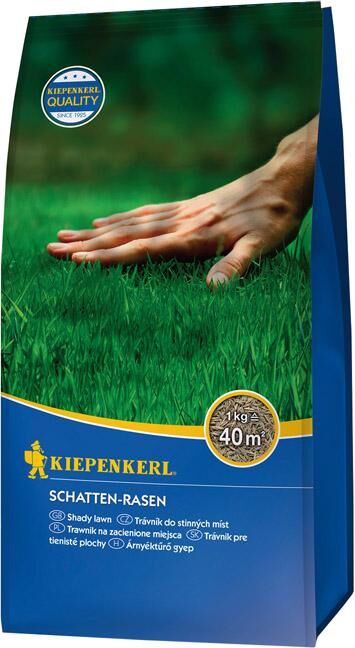 Kiepenkerl Schatten-Rasen 1 kg Produktbild Kiepenkerl Schatten-Rasen 1 kg