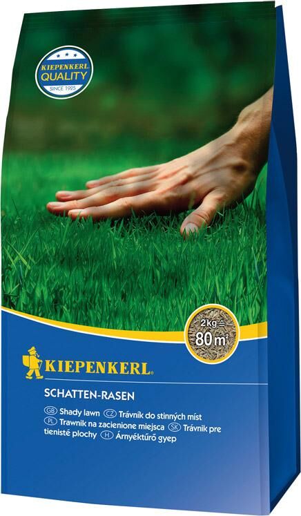 Kiepenkerl Schatten-Rasen 2 kg Produktbild Kiepenkerl Schatten-Rasen 2 kg