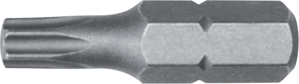 Fortis Bit 1/4" DIN3126 C6,3 T20x25mm a 10 Stk. Fortis Bit 1/4" DIN3126 C6,3 T20x25mm a 10 Stk.