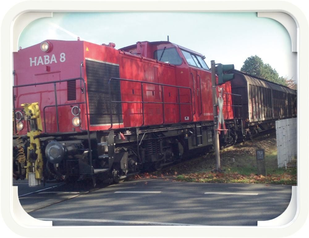 Dancop Universalspiegel Euvex 60x80cm für Innen und Außen Produktbild Dancop Universalspiegel Euvex 60x80cm für Innen und Außen